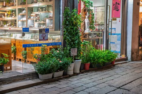 小店门前绿植
