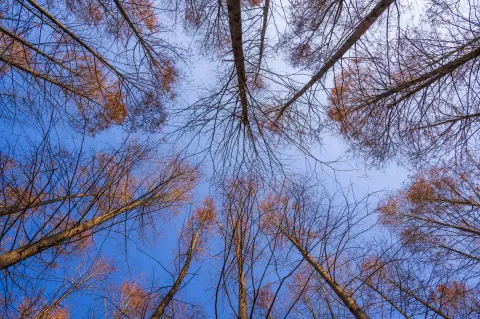 仰望天空