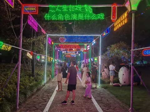 驻足看灯