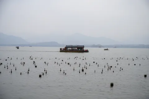 西湖里的公交船