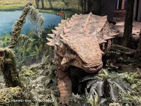 甲龙复原模型