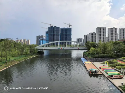 河畔景色