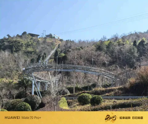 虎溜溜