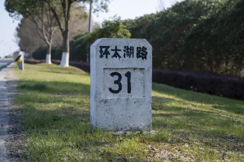 环太湖路31