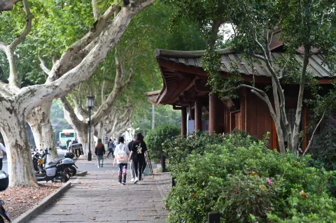 林荫步道