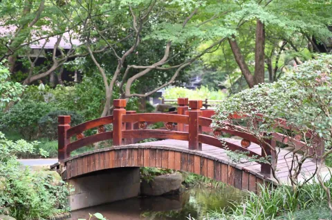木拱小桥