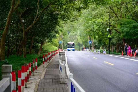 山林间驶来的公交车