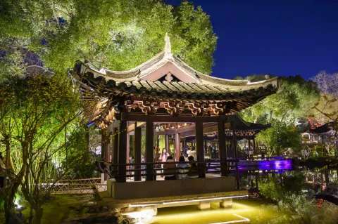 沈园夜景