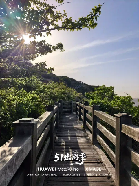 林间木栈道