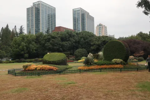 植物雕塑-大鼓