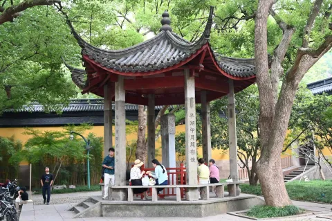 古亭树下，游人小憩