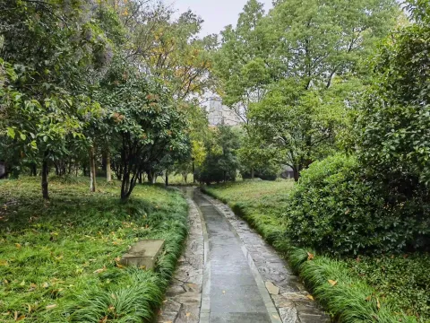 雨后的走道
