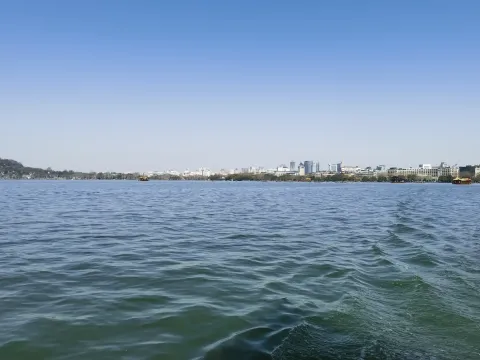 西湖的水