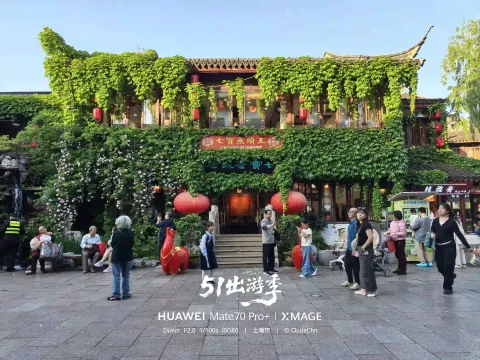 爬山虎裹着的七宝鱼头王