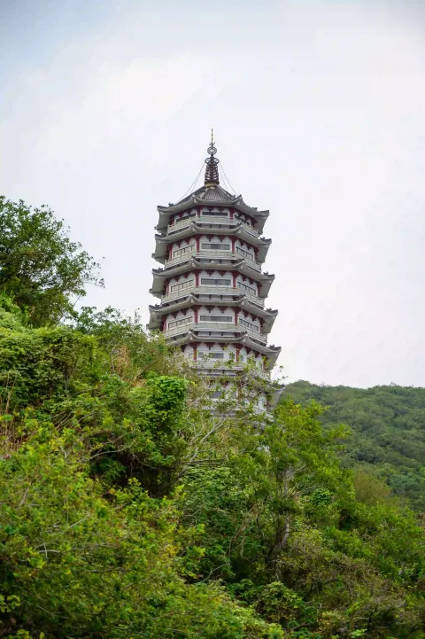 青山望古塔